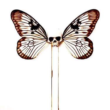 Einzigartige Schmetterlings-Schädel-Tätowierung