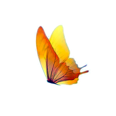 Yellow Butterfly Tattoo Design
