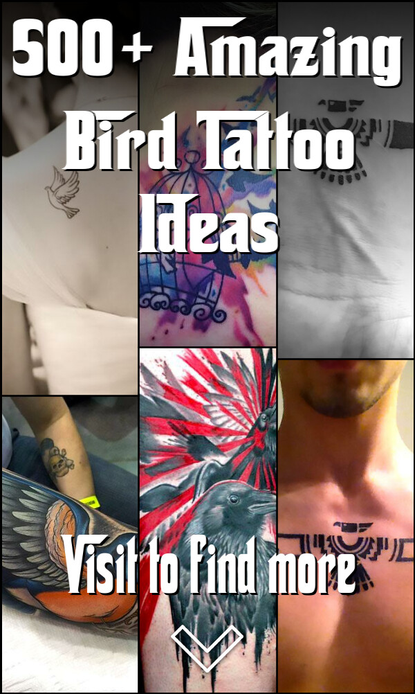 500+ Amazing Bird Tattoo Ideas