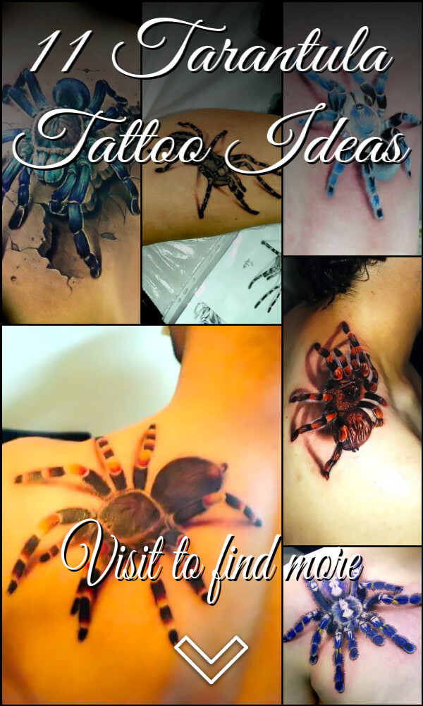 11 Tarantula Tattoo Ideas