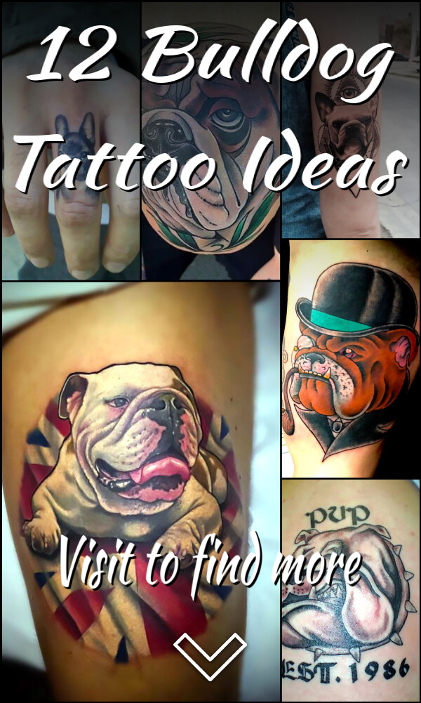 12 Bulldog Tattoo Ideas