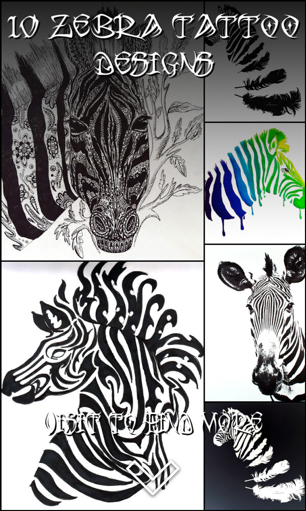 10 Zebra Tattoo Designs