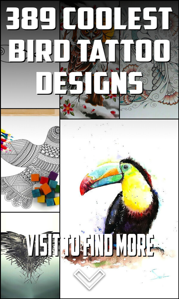 389 Coolest Bird Tattoo Designs