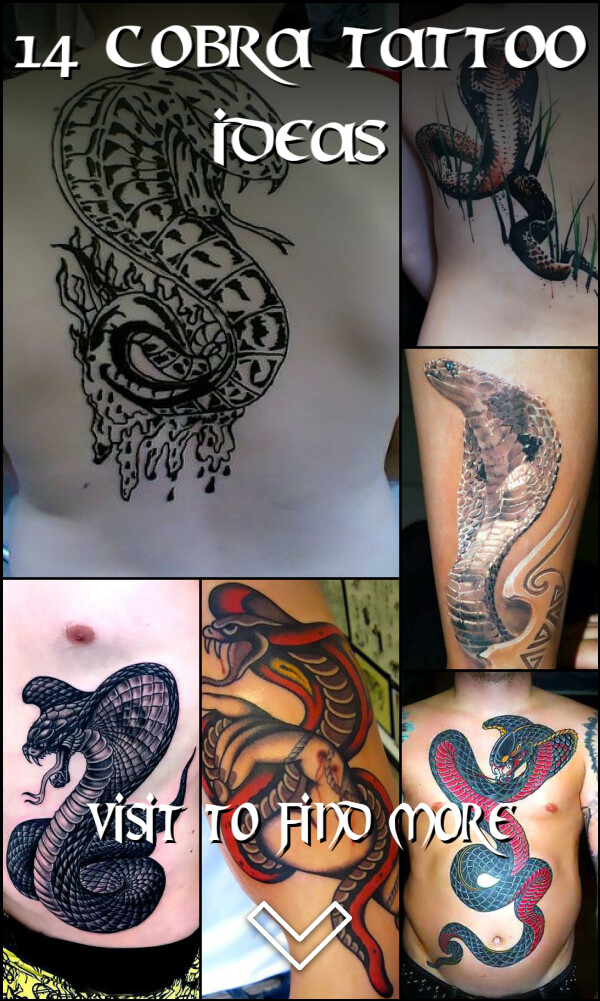 14 Cobra Tattoo Ideas