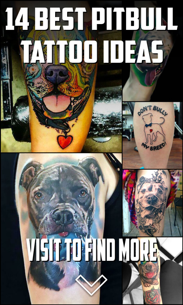 14 Best Pitbull Tattoo Ideas