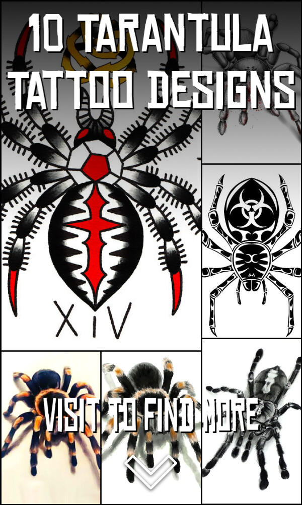 10 Tarantula Tattoo Designs