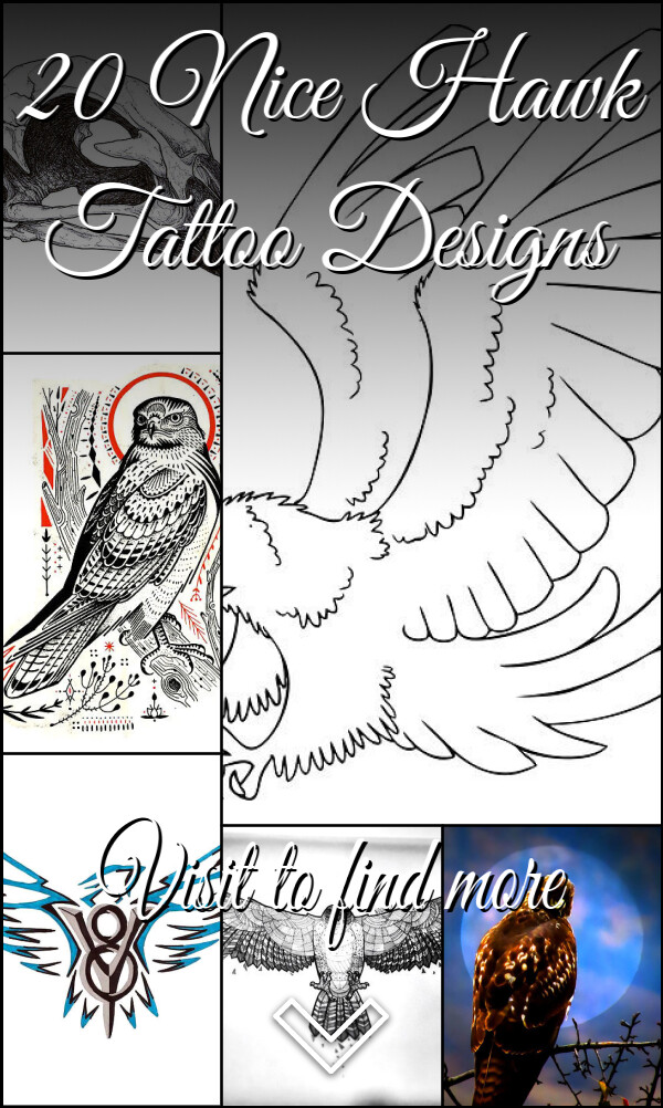 20 Nice Hawk Tattoo Designs