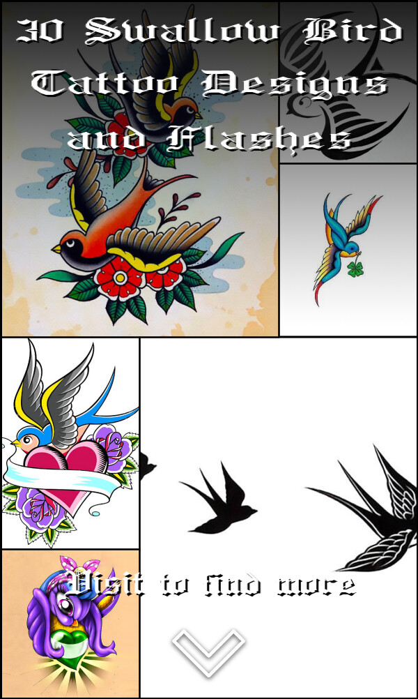 30 Swallow Bird Tattoo Designs and Flashes