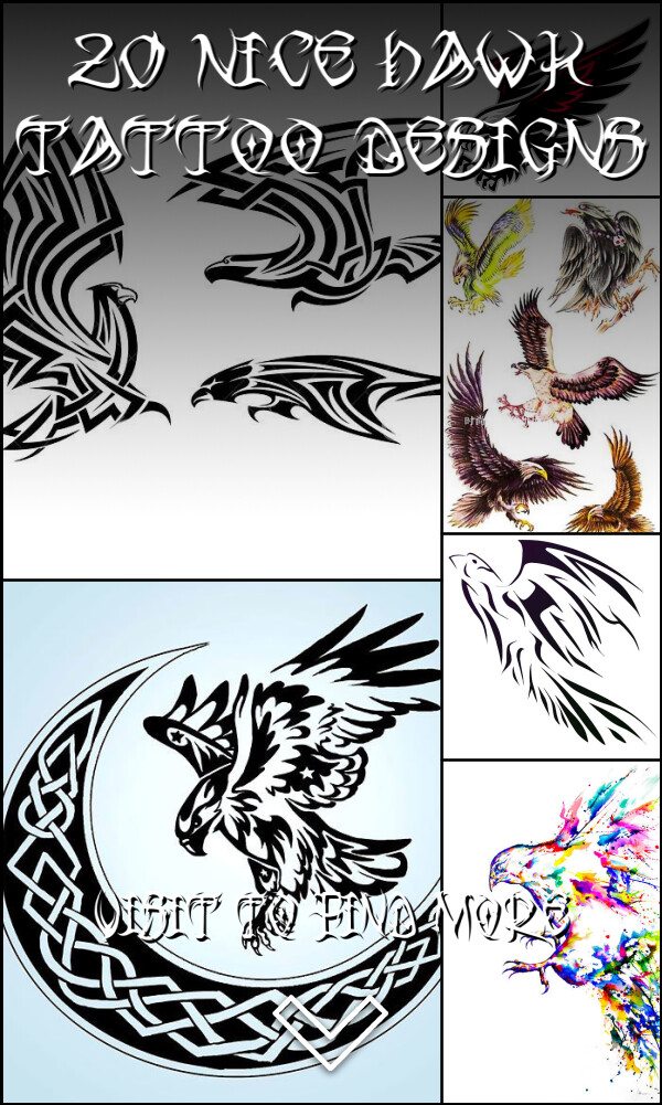 20 Nice Hawk Tattoo Designs