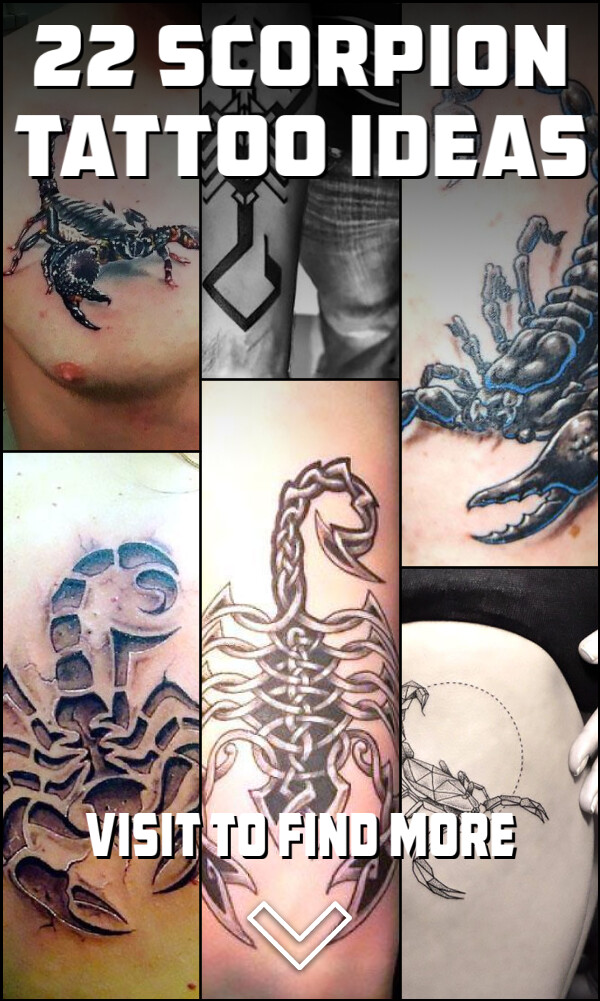 22 Scorpion Tattoo Ideas