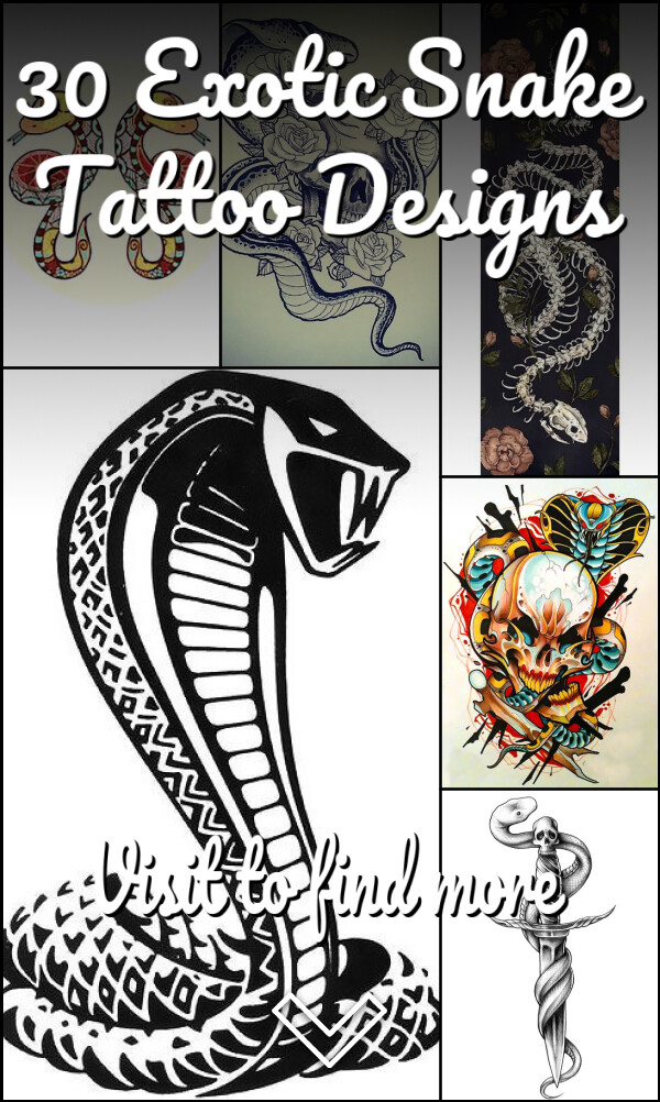 30 Exotic Snake Tattoo Designs