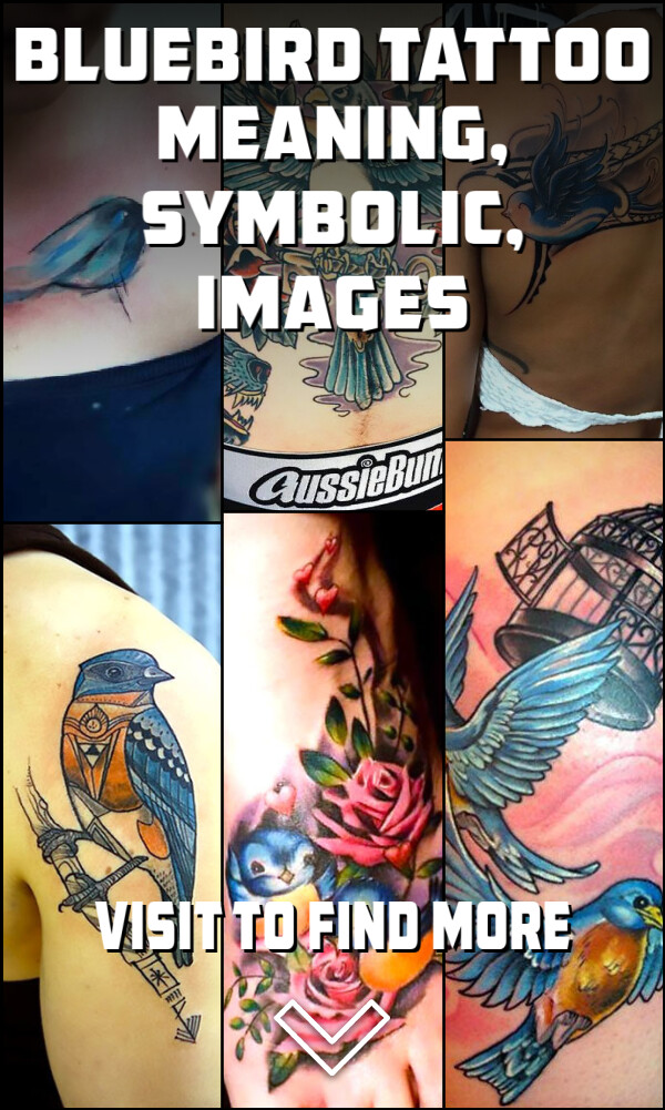 Bluebird Tattoo Meaning, Symbolic, Images