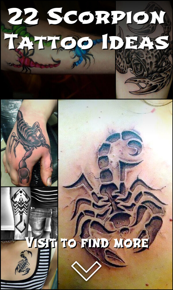 22 Scorpion Tattoo Ideas