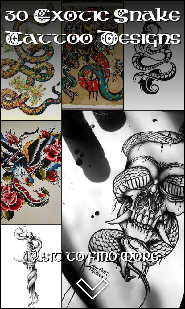 30 Exotic Snake Tattoo Designs