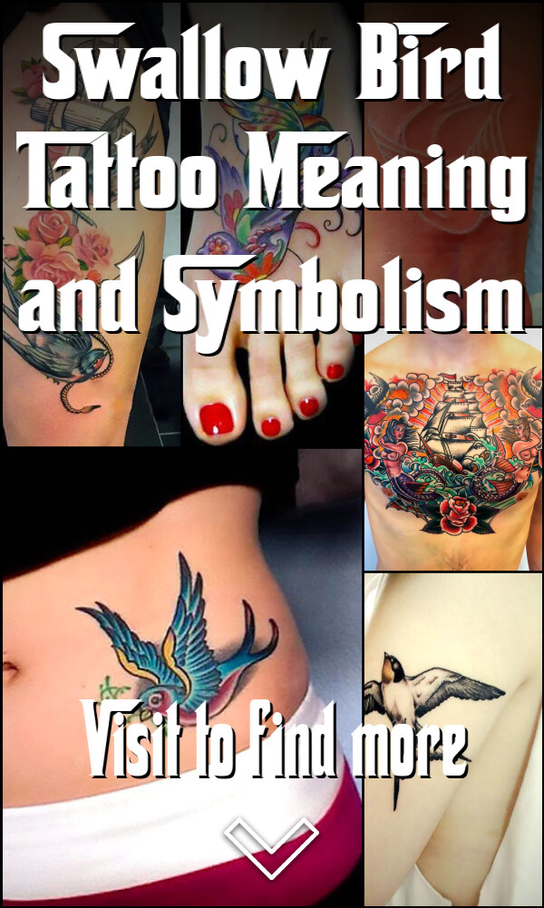 Swallow Bird Tattoo Meaning and Symbolism