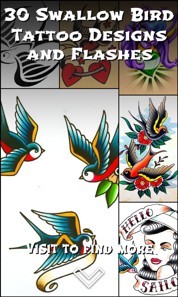 30 Swallow Bird Tattoo Designs and Flashes