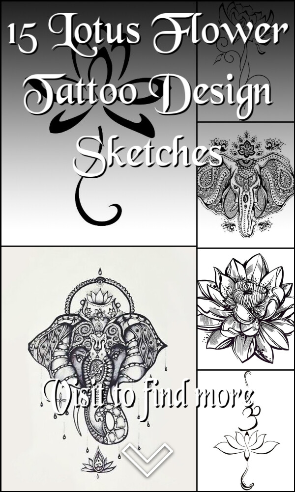 15 Lotus Flower Tattoo Design Sketches