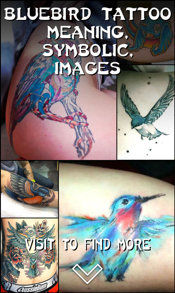 Bluebird Tattoo Meaning, Symbolic, Images