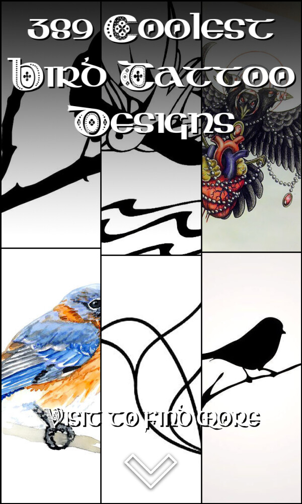 389 Coolest Bird Tattoo Designs