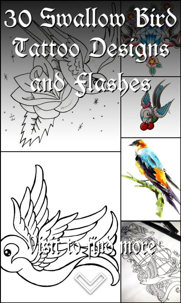 30 Swallow Bird Tattoo Designs and Flashes