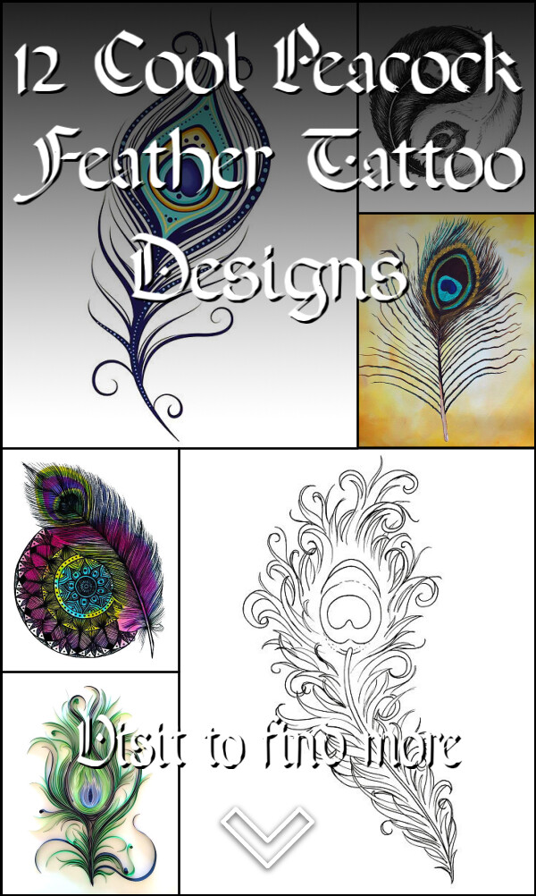 12 Cool Peacock Feather Tattoo Designs