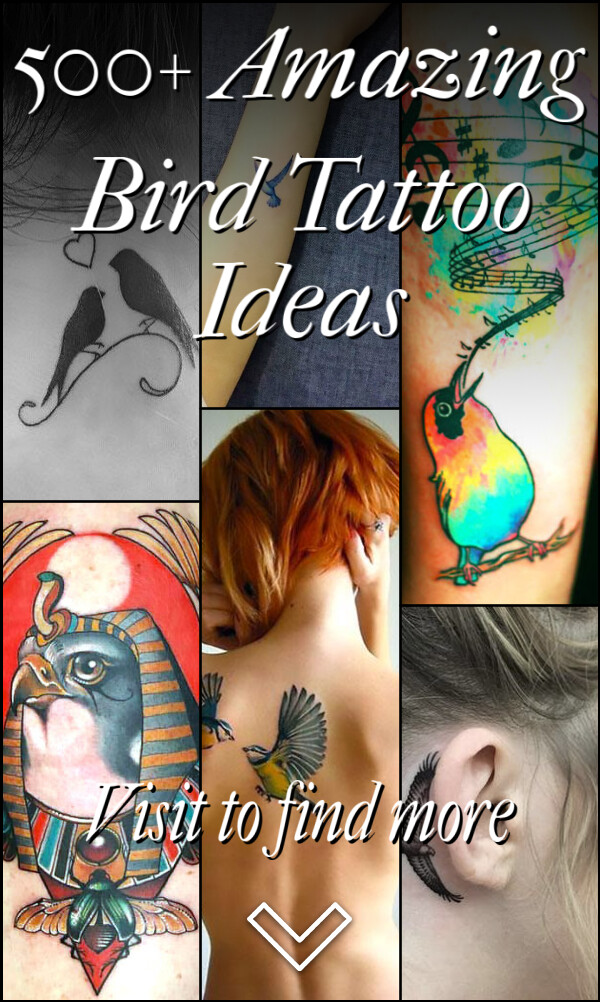 500+ Amazing Bird Tattoo Ideas