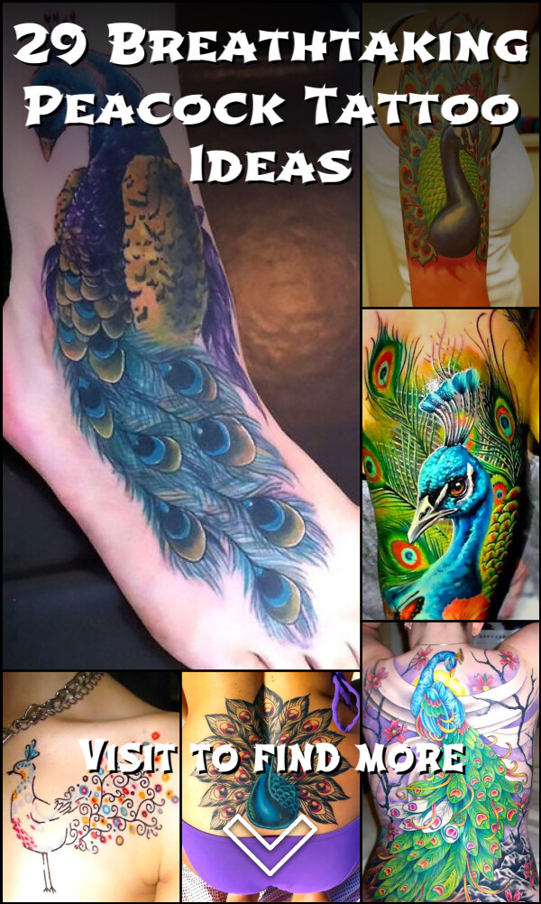 29 Breathtaking Peacock Tattoo Ideas