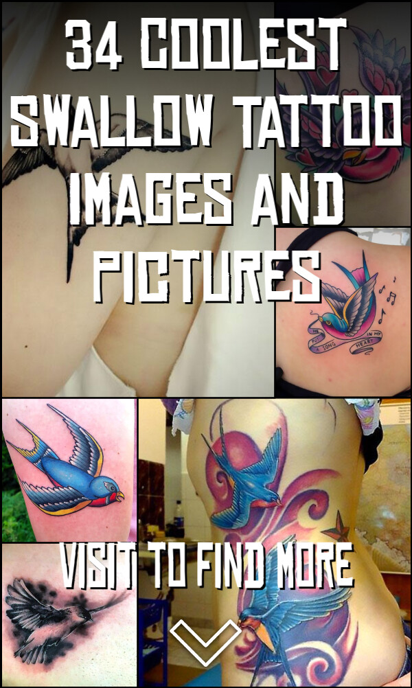 34 Coolest Swallow Tattoo Images and Pictures