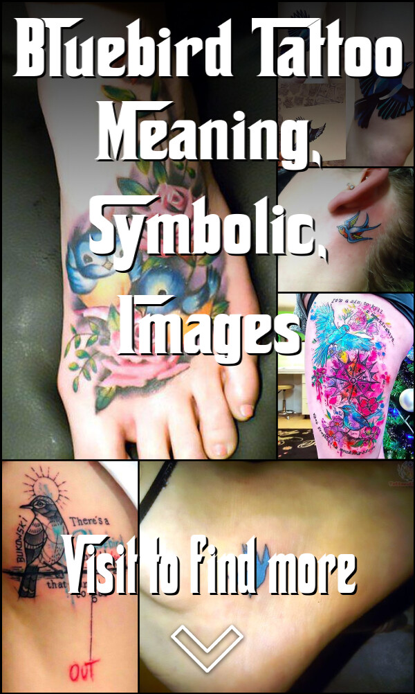 Bluebird Tattoo Meaning, Symbolic, Images