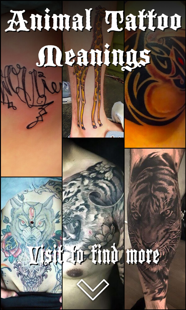 Animal Tattoo Meanings
