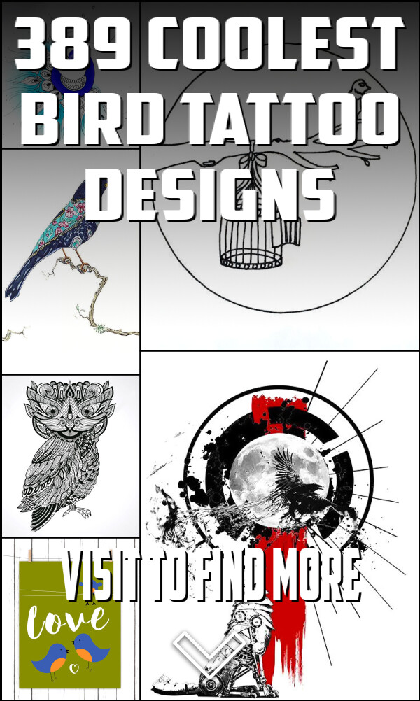 389 Coolest Bird Tattoo Designs