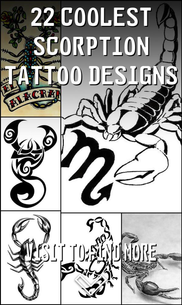 22 Coolest Scorption Tattoo Designs
