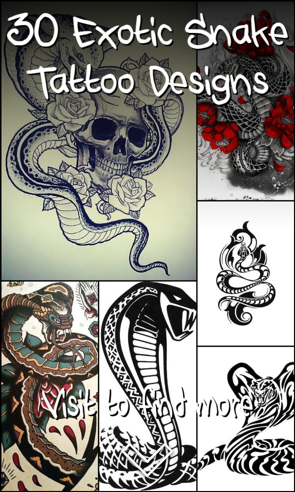 30 Exotic Snake Tattoo Designs