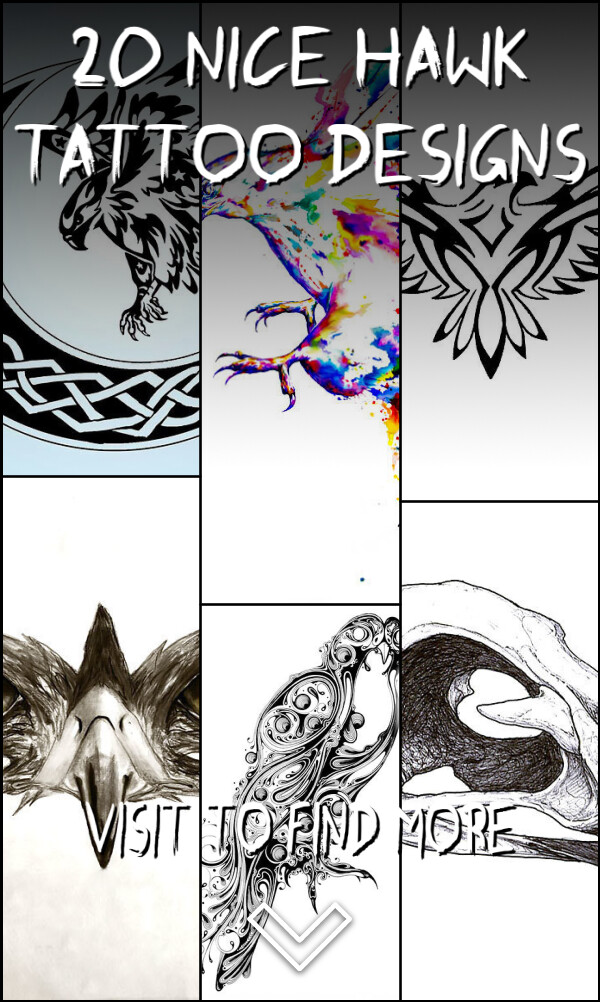 20 Nice Hawk Tattoo Designs