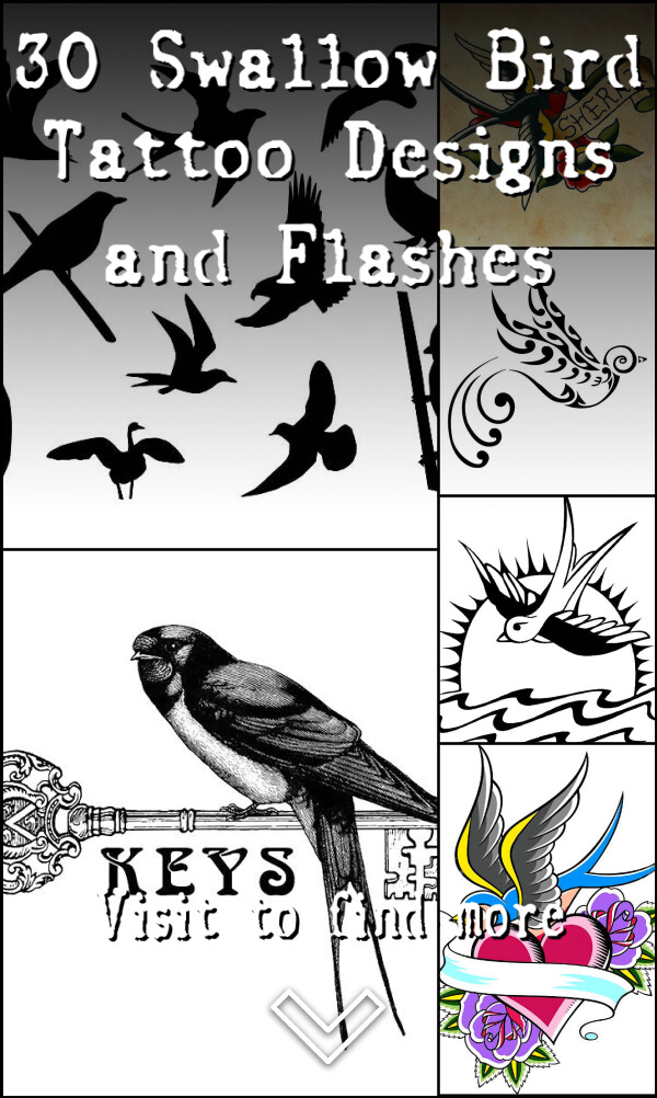 30 Swallow Bird Tattoo Designs and Flashes