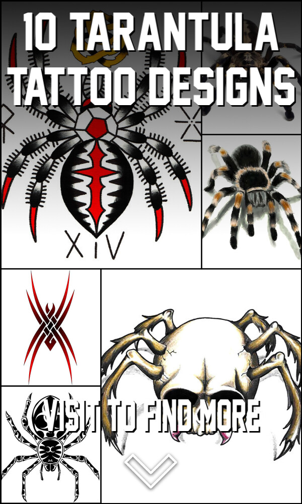 10 Tarantula Tattoo Designs