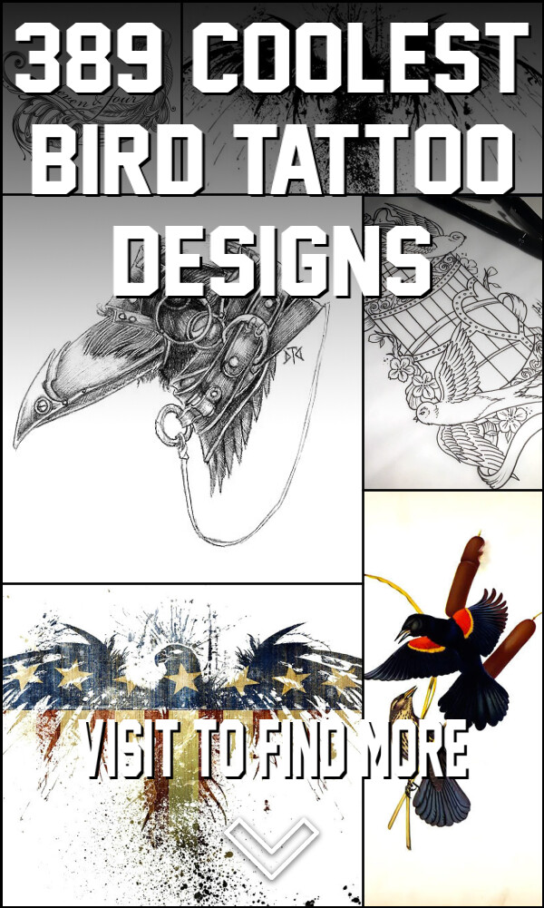 389 Coolest Bird Tattoo Designs