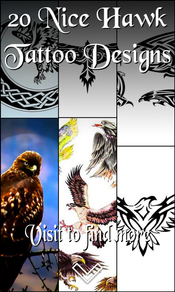 20 Nice Hawk Tattoo Designs