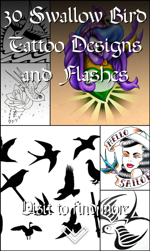 30 Swallow Bird Tattoo Designs and Flashes