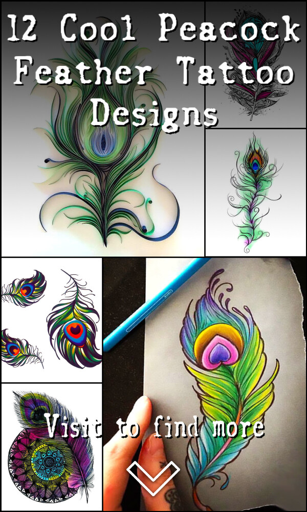 12 Cool Peacock Feather Tattoo Designs