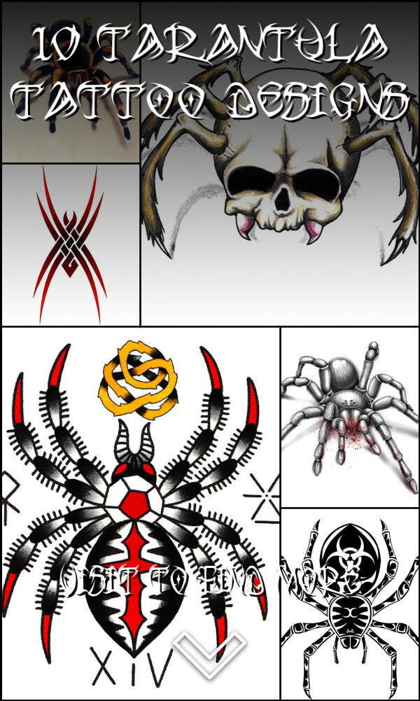 10 Tarantula Tattoo Designs