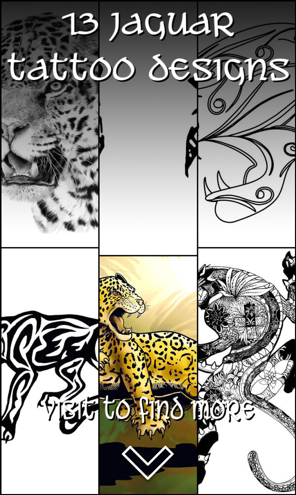 13 Jaguar Tattoo Designs
