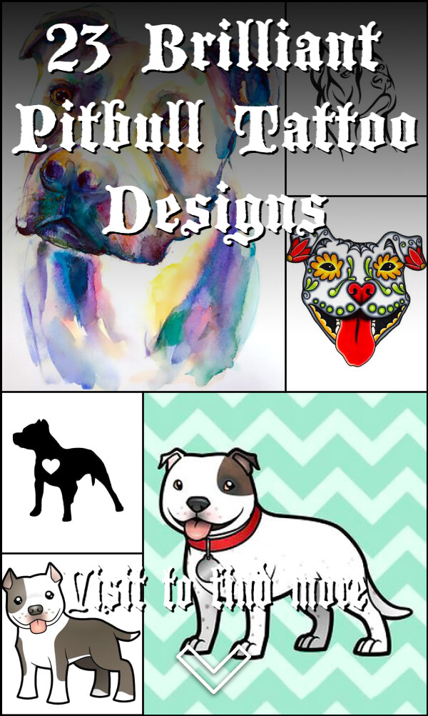 23 Brilliant Pitbull Tattoo Designs