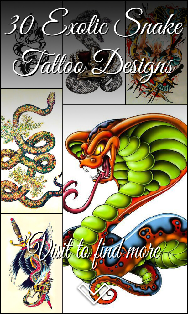 30 Exotic Snake Tattoo Designs