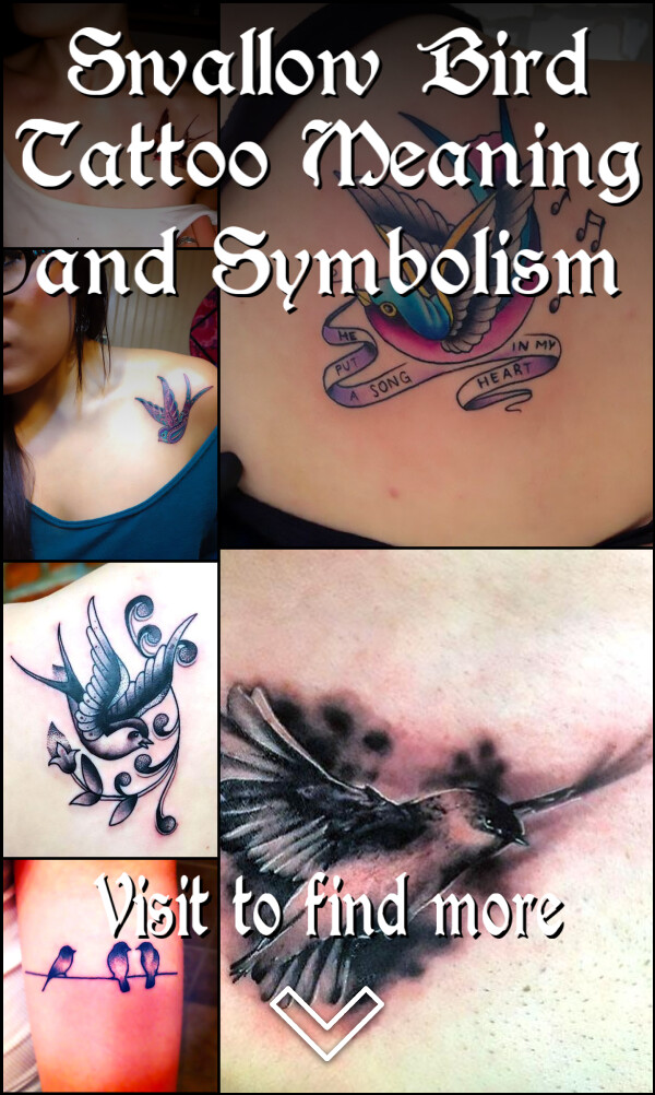 Swallow Bird Tattoo Meaning and Symbolism