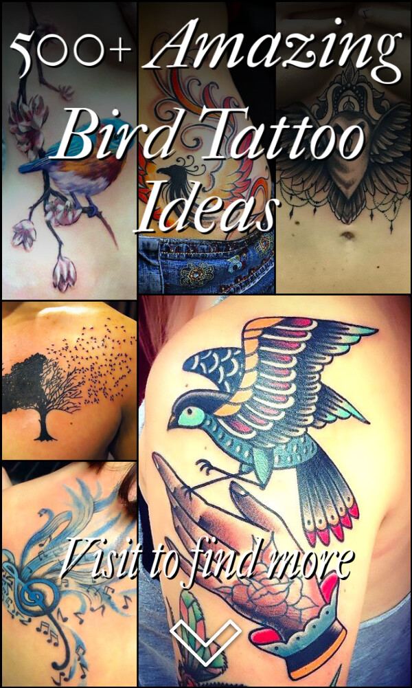500+ Amazing Bird Tattoo Ideas