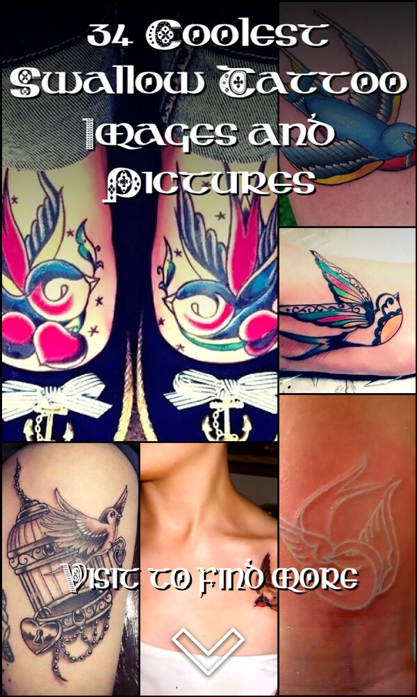 34 Coolest Swallow Tattoo Images and Pictures