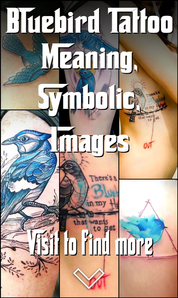 Bluebird Tattoo Meaning, Symbolic, Images