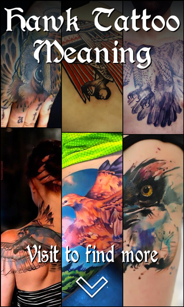 Hawk Tattoo Meaning