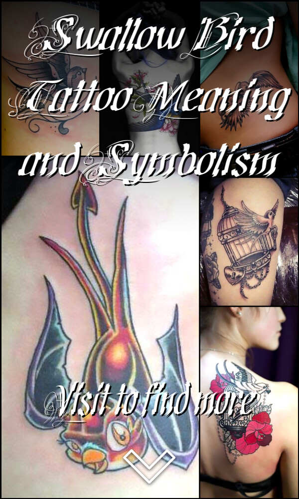 Swallow Bird Tattoo Meaning and Symbolism